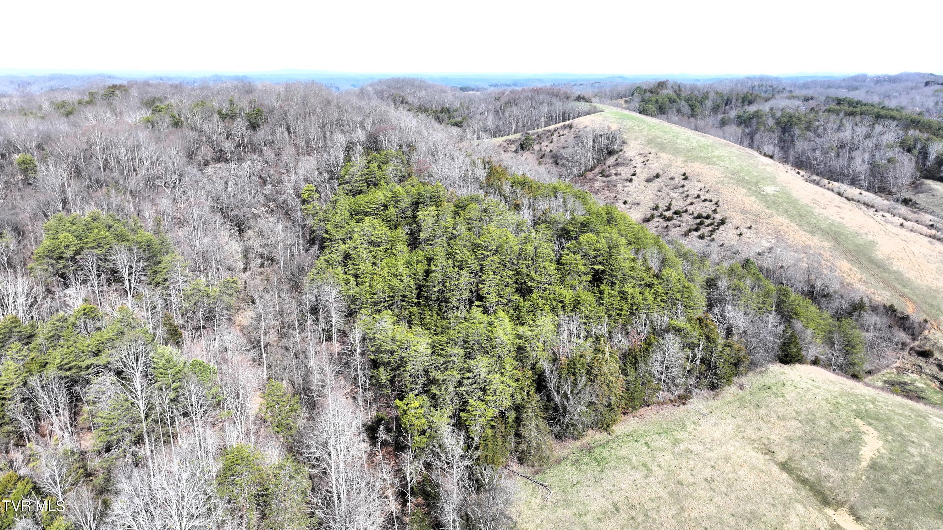 0 Looney Road Parrottsville, TN 37843 - Photo 24 of 41 DJI_20250214111351_0006_D