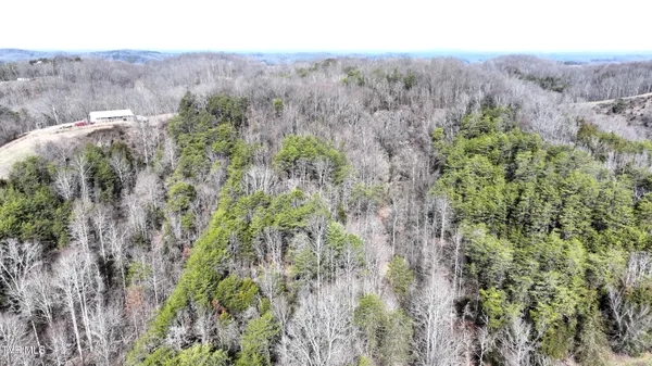 $322,050 | 0 Looney Road, Parrottsville, TN 37843
