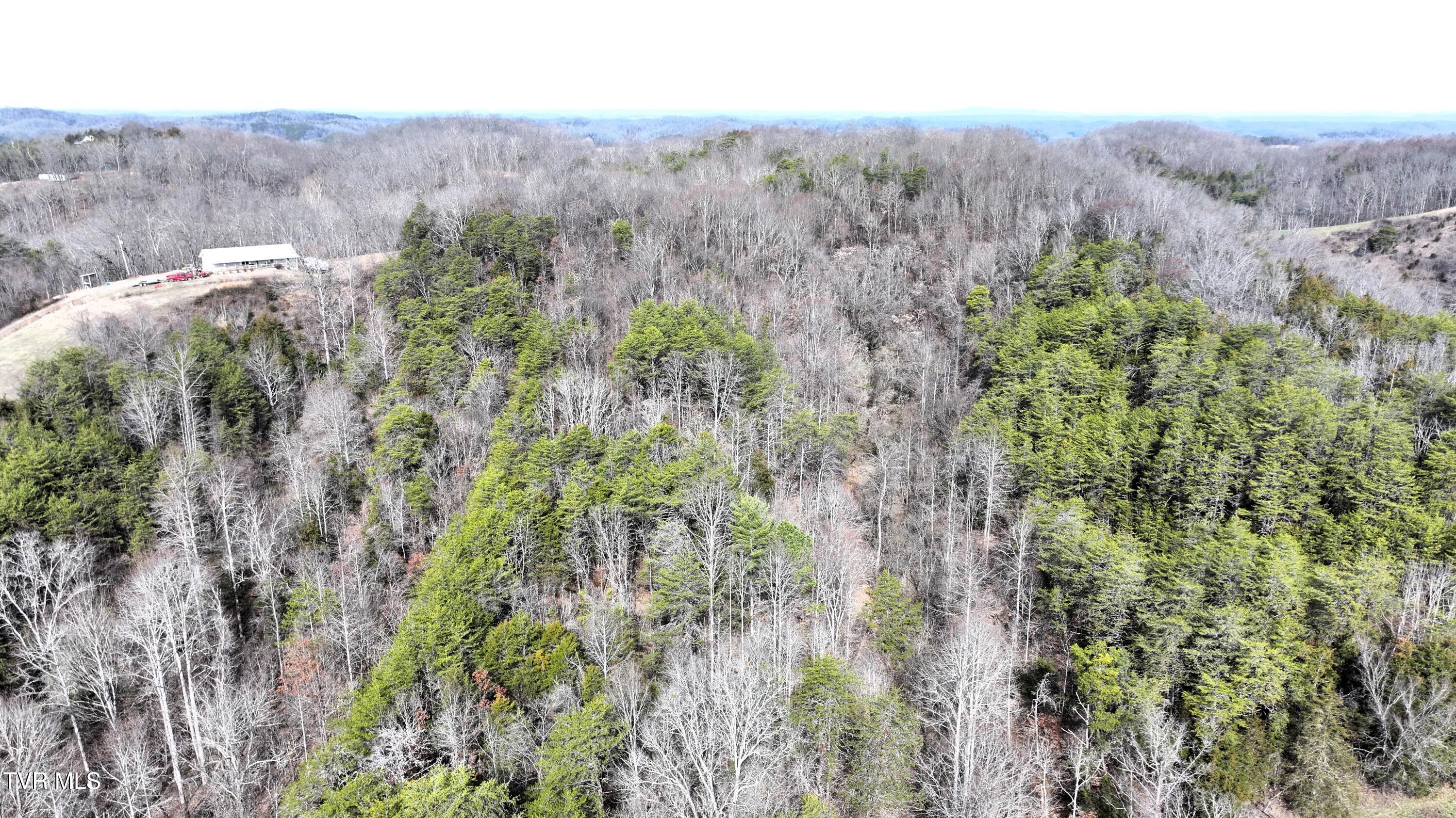 0 Looney Road Parrottsville, TN 37843 - Photo 26 of 41 DJI_20250214111341_0004_D