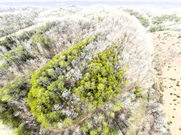 $322,050 | 0 Looney Road, Parrottsville, TN 37843