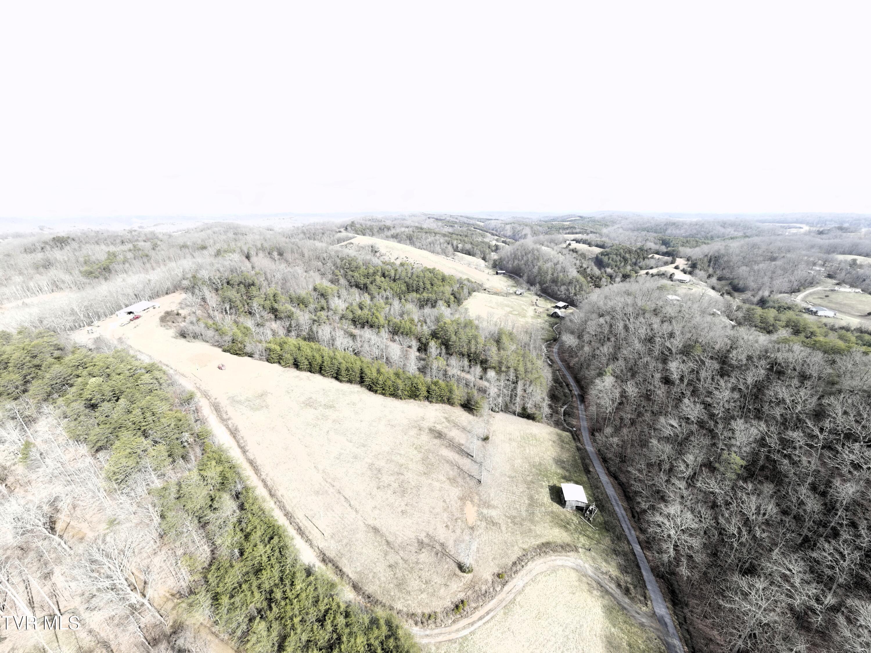 0 Looney Road Parrottsville, TN 37843 - Photo 28 of 41 0000734_panorama_0010