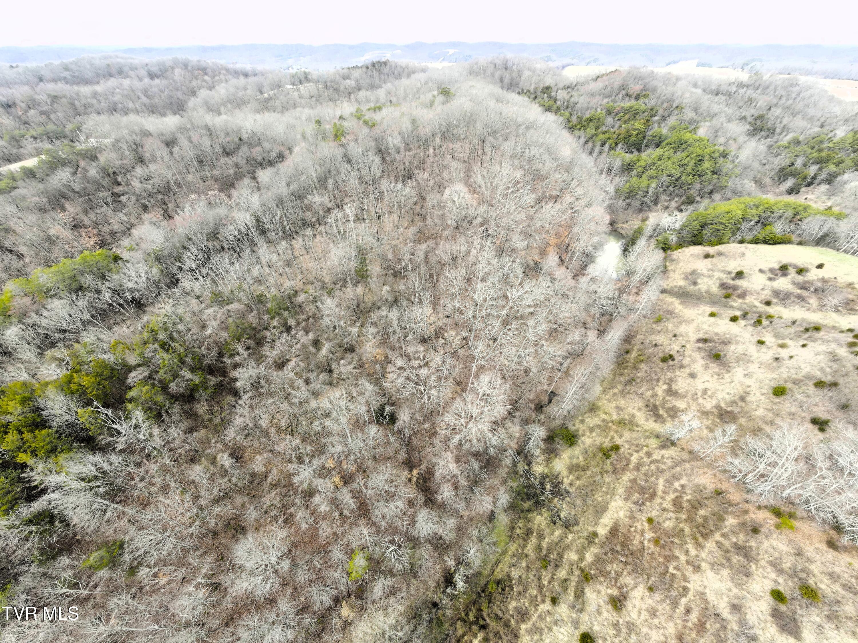 0 Looney Road Parrottsville, TN 37843 - Photo 29 of 41 0000744_panorama_0010