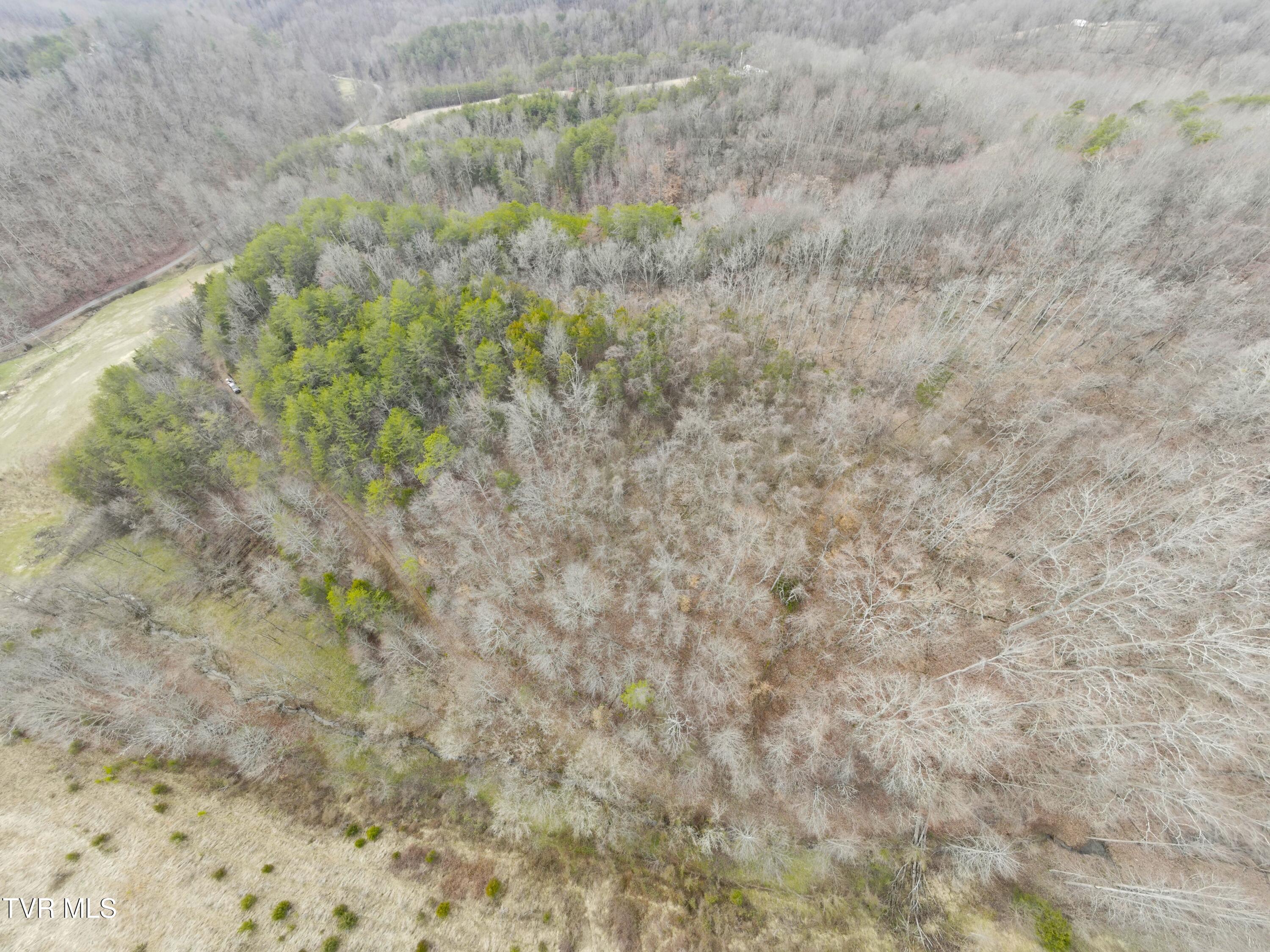 0 Looney Road Parrottsville, TN 37843 - Photo 30 of 41 0000743_panorama_0010