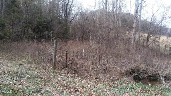 $322,050 | 0 Looney Road, Parrottsville, TN 37843