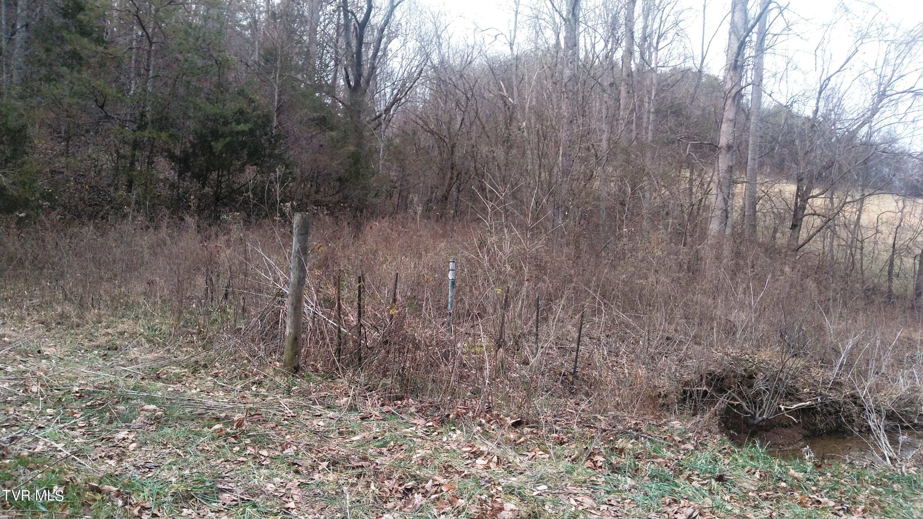 0 Looney Road Parrottsville, TN 37843 - Photo 3 of 41 Looney Rd Off