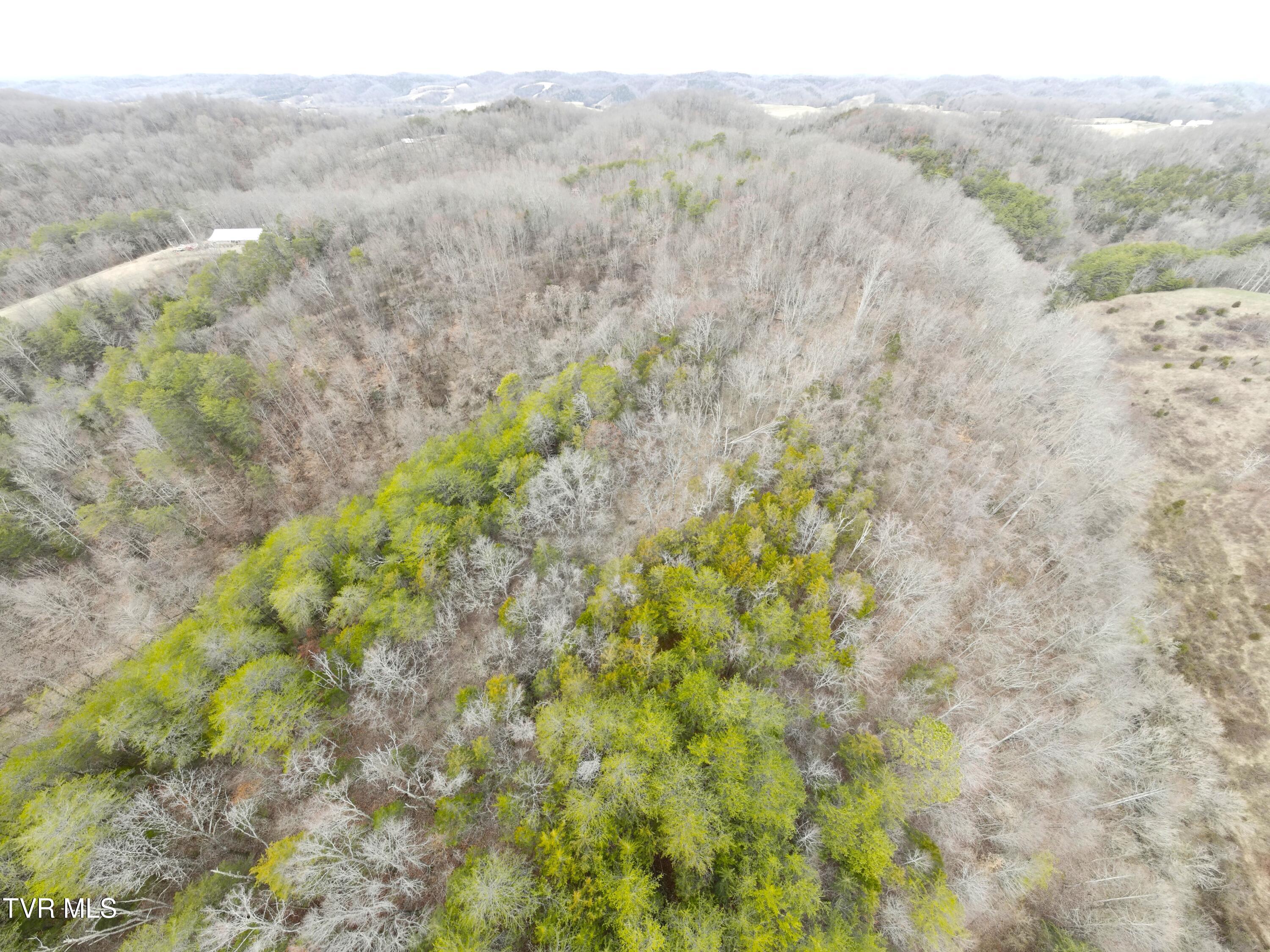 0 Looney Road Parrottsville, TN 37843 - Photo 31 of 41 0000742_panorama_0010