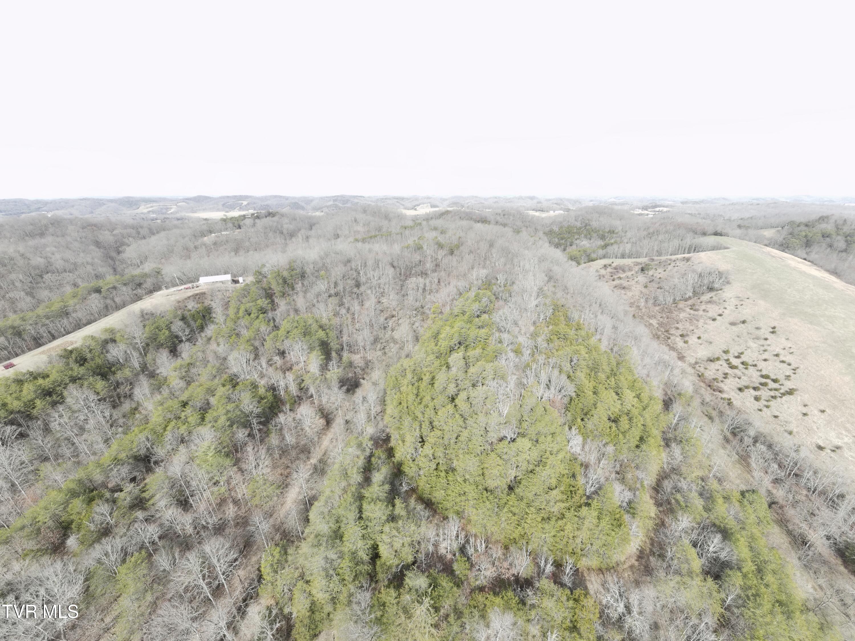 0 Looney Road Parrottsville, TN 37843 - Photo 32 of 41 0000732_panorama_0010