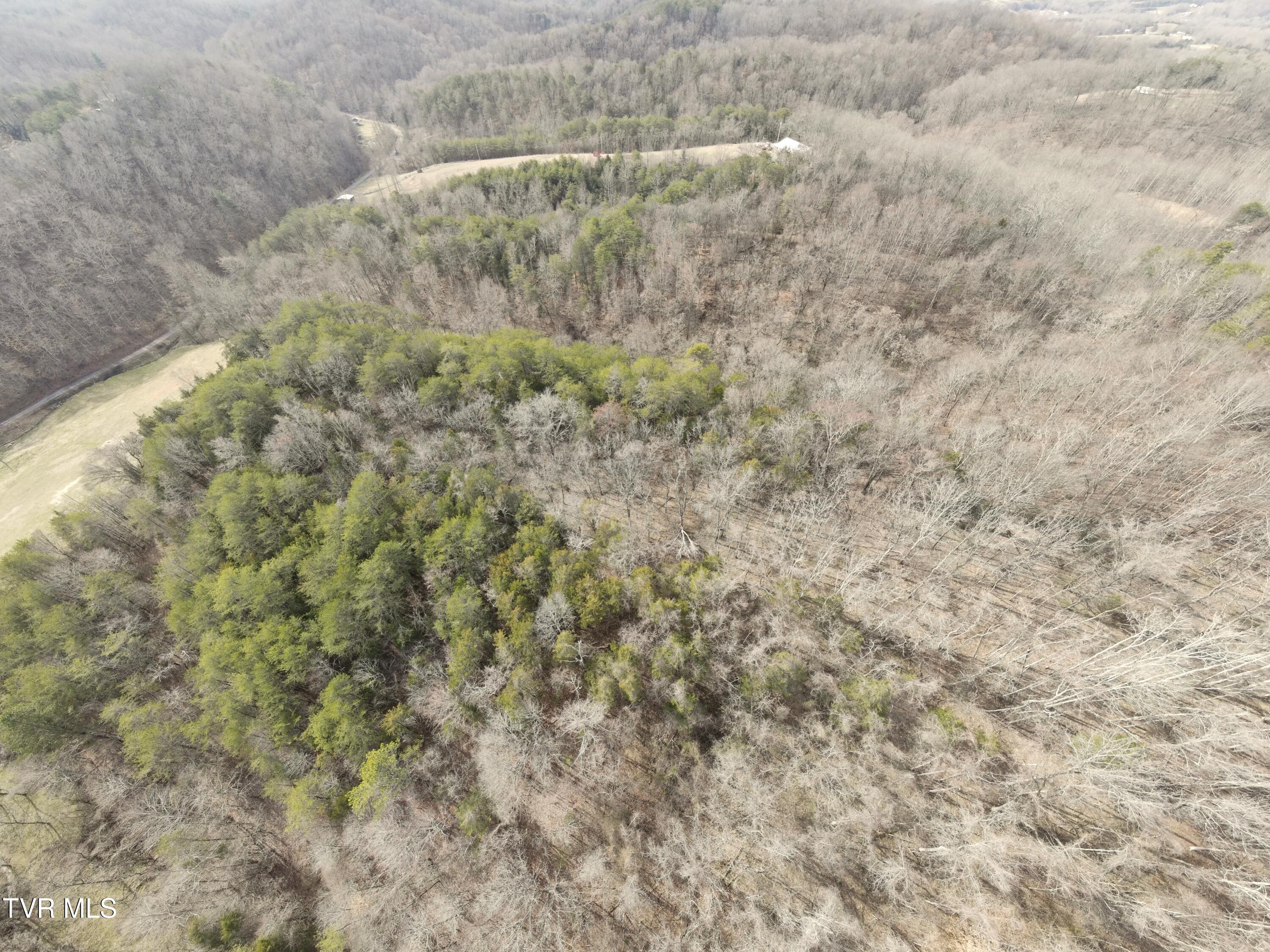 0 Looney Road Parrottsville, TN 37843 - Photo 33 of 41 0000736_panorama_0010