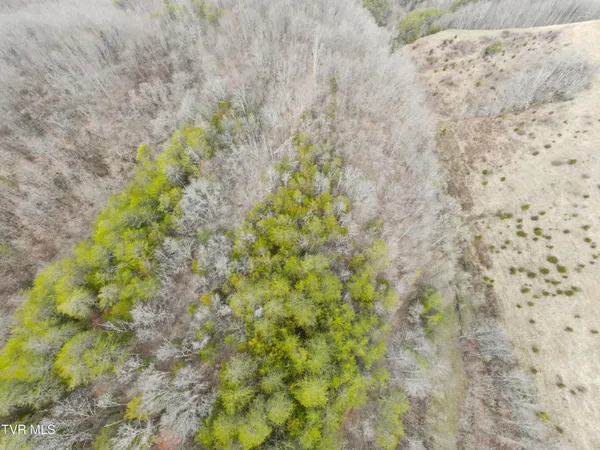 $322,050 | 0 Looney Road, Parrottsville, TN 37843