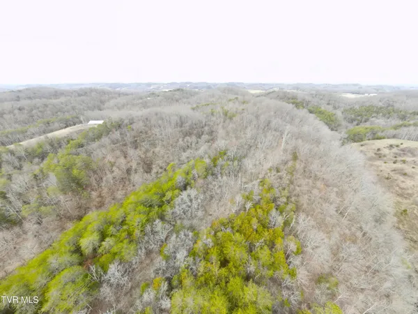 $322,050 | 0 Looney Road, Parrottsville, TN 37843