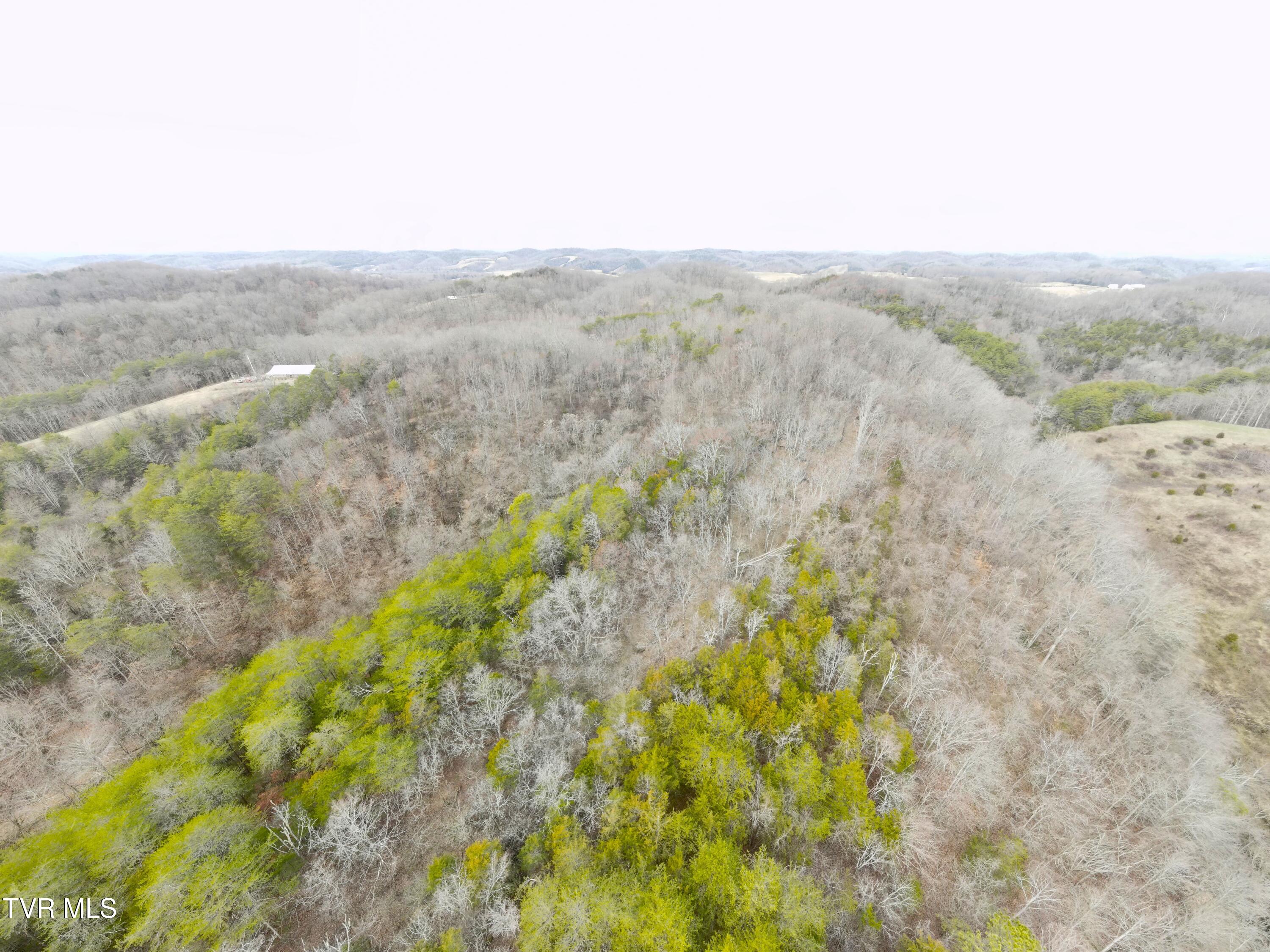 0 Looney Road Parrottsville, TN 37843 - Photo 35 of 41 0000741_panorama_0010