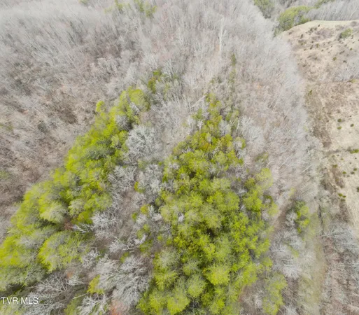 $322,050 | 0 Looney Road, Parrottsville, TN 37843