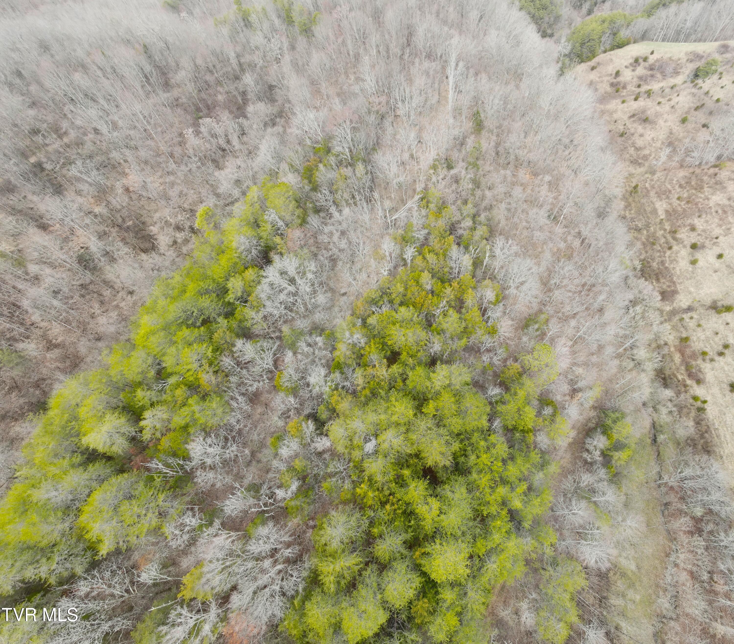 0 Looney Road Parrottsville, TN 37843 - Photo 37 of 41 0000740_panorama_0010