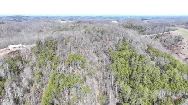 $322,050 | 0 Looney Road, Parrottsville, TN 37843