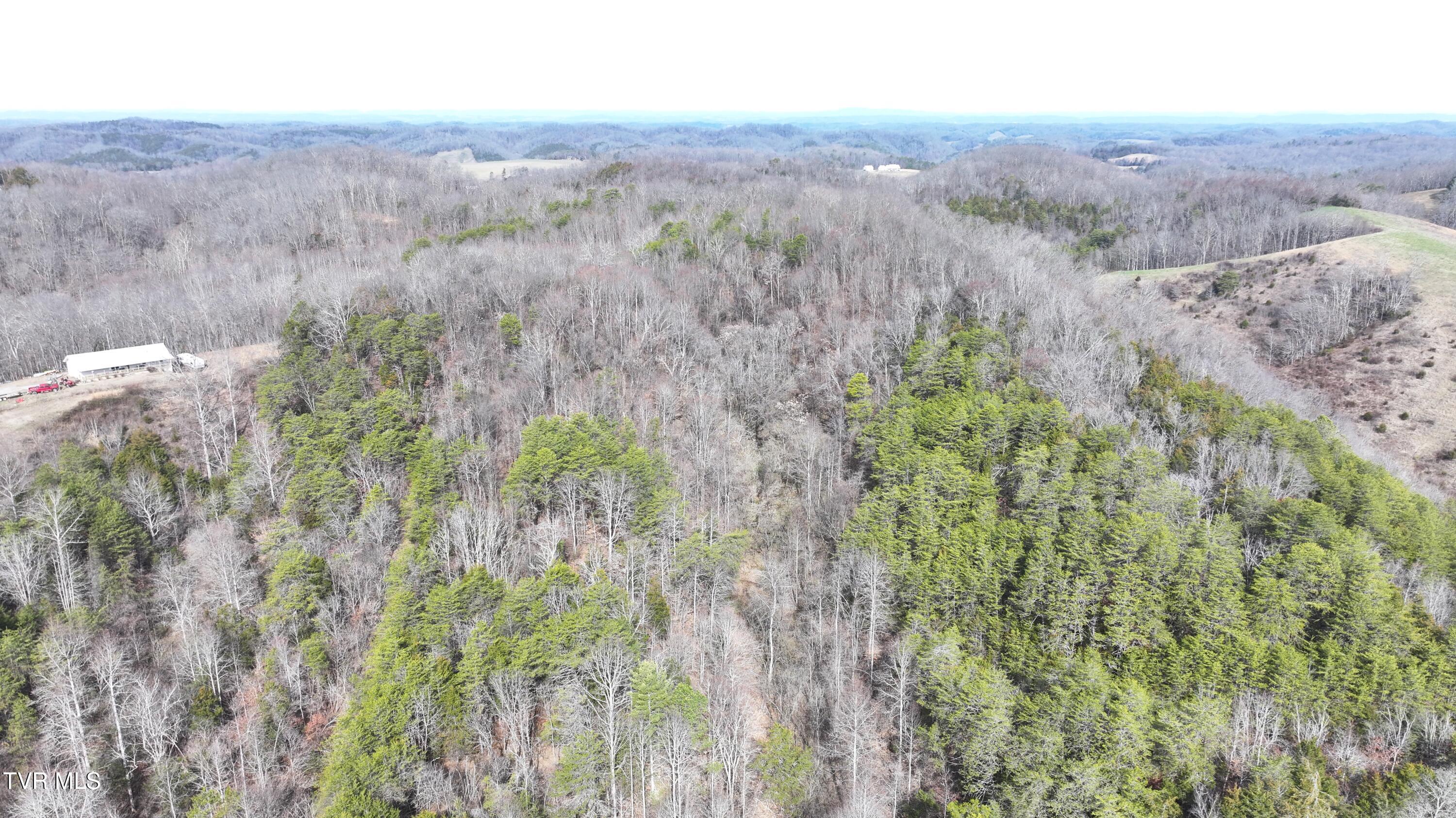 0 Looney Road Parrottsville, TN 37843 - Photo 39 of 41 DJI_20250214111411_0007_D