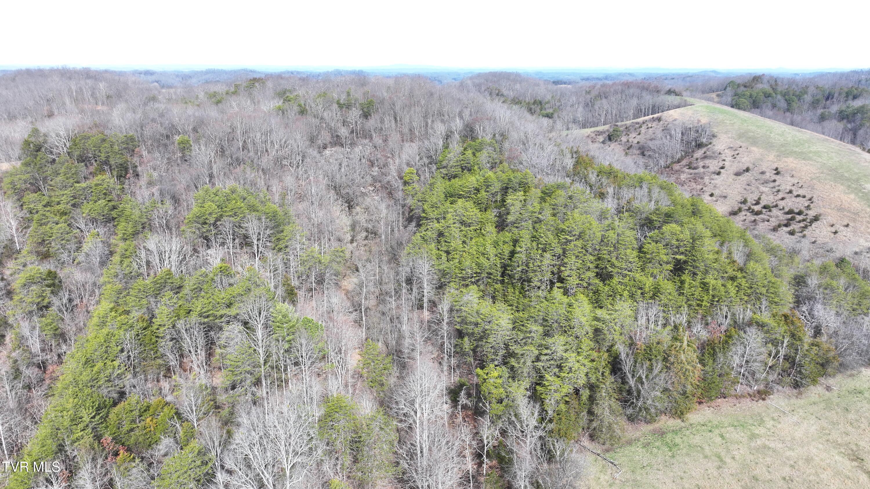 0 Looney Road Parrottsville, TN 37843 - Photo 40 of 41 DJI_20250214111345_0005_D