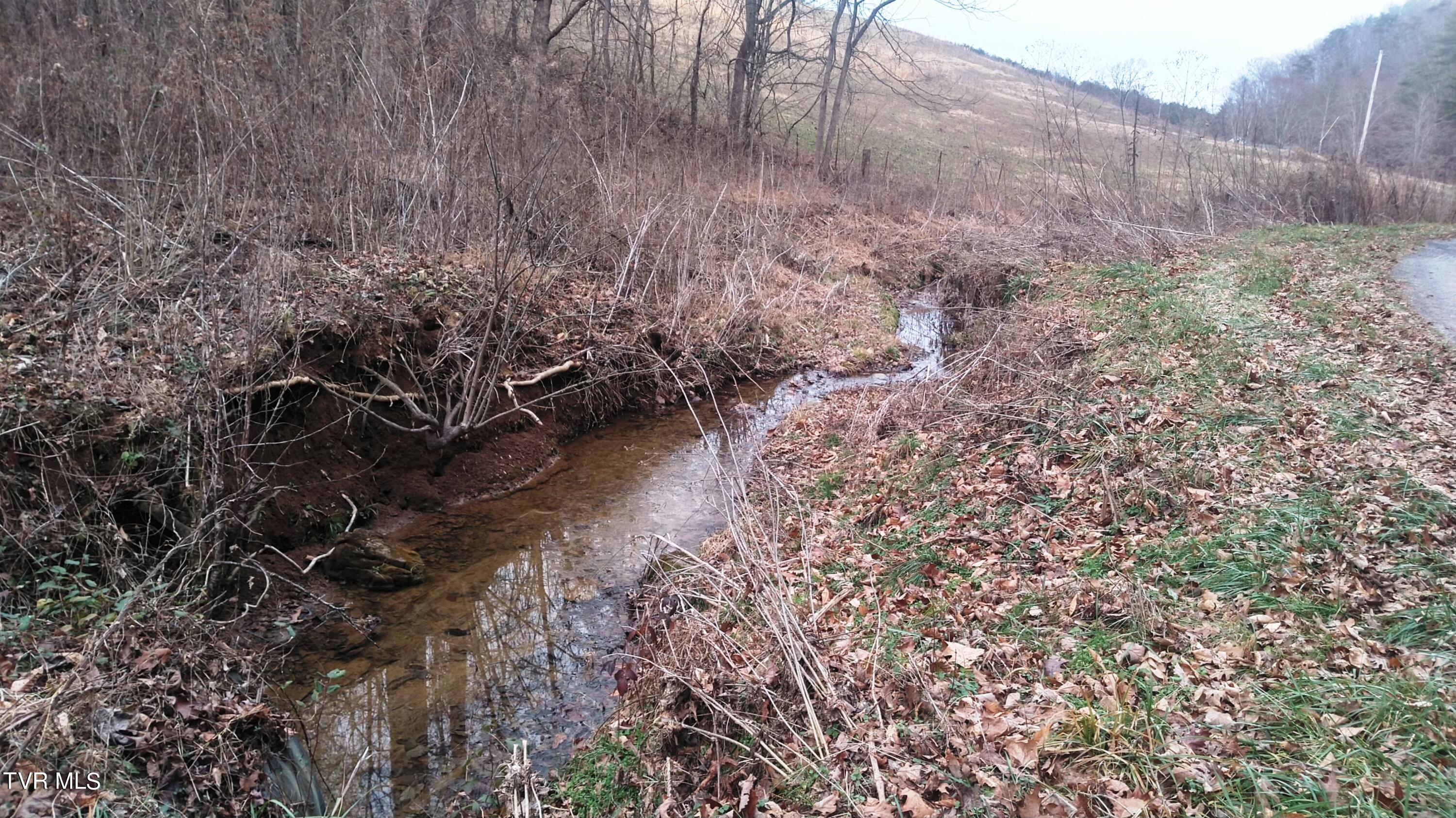 0 Looney Road Parrottsville, TN 37843 - Photo 4 of 41 Looney Rd Off