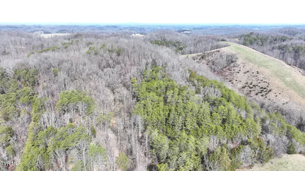 $322,050 | 0 Looney Road, Parrottsville, TN 37843