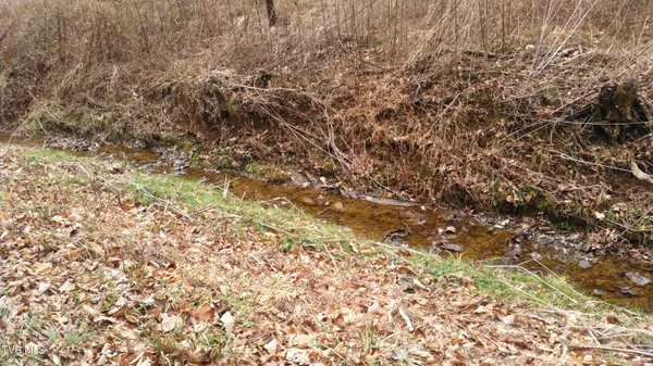 $322,050 | 0 Looney Road, Parrottsville, TN 37843