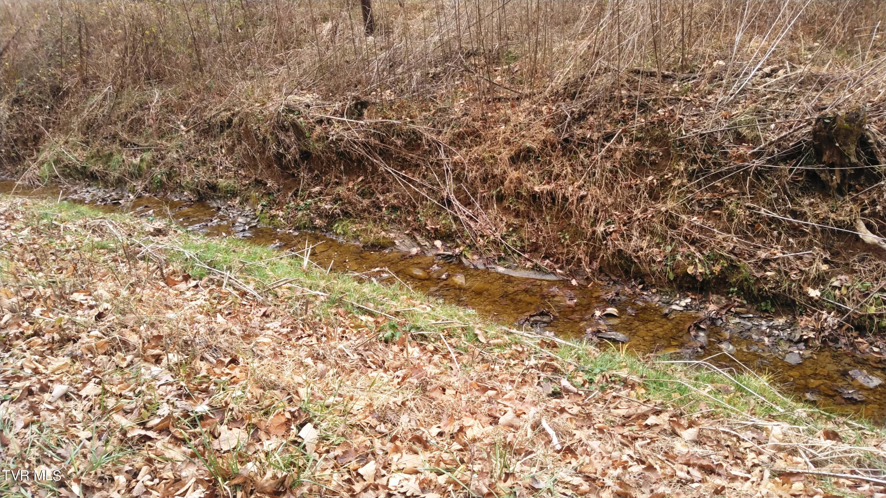 0 Looney Road Parrottsville, TN 37843 - Photo 5 of 41 Looney Rd Off