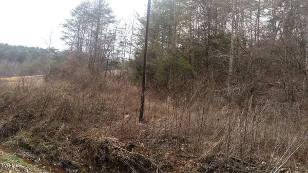 $322,050 | 0 Looney Road, Parrottsville, TN 37843