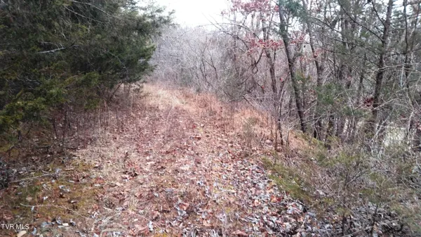 $322,050 | 0 Looney Road, Parrottsville, TN 37843