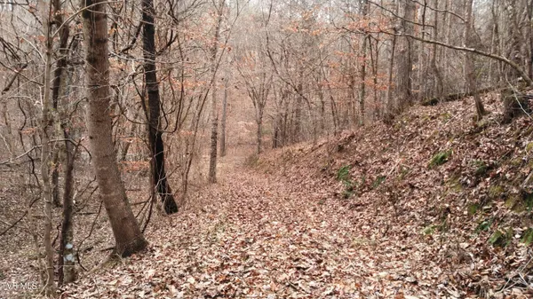 $322,050 | 0 Looney Road, Parrottsville, TN 37843