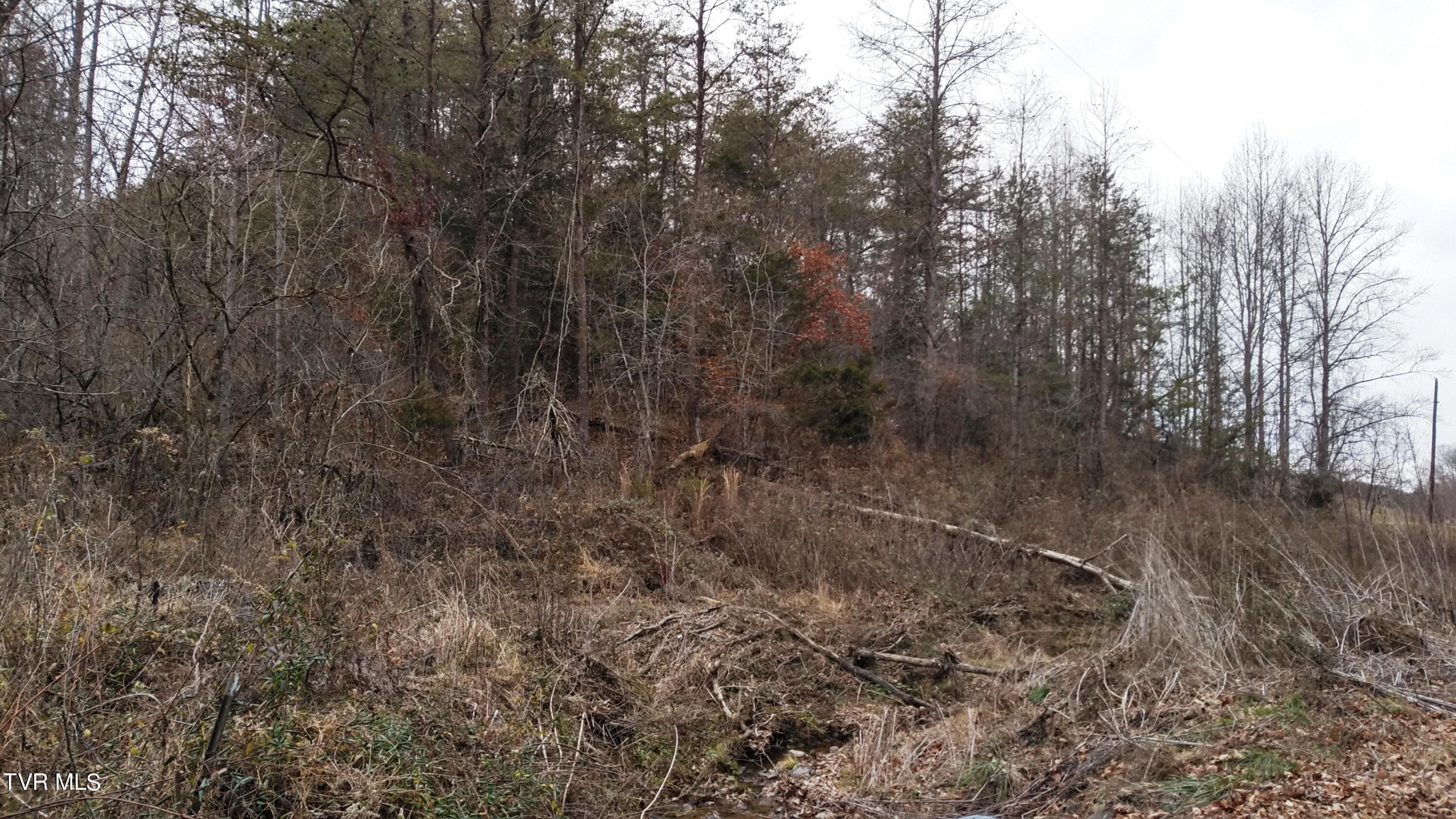 0 Looney Road Parrottsville, TN 37843 - Photo 10 of 41 Looney Rd Off