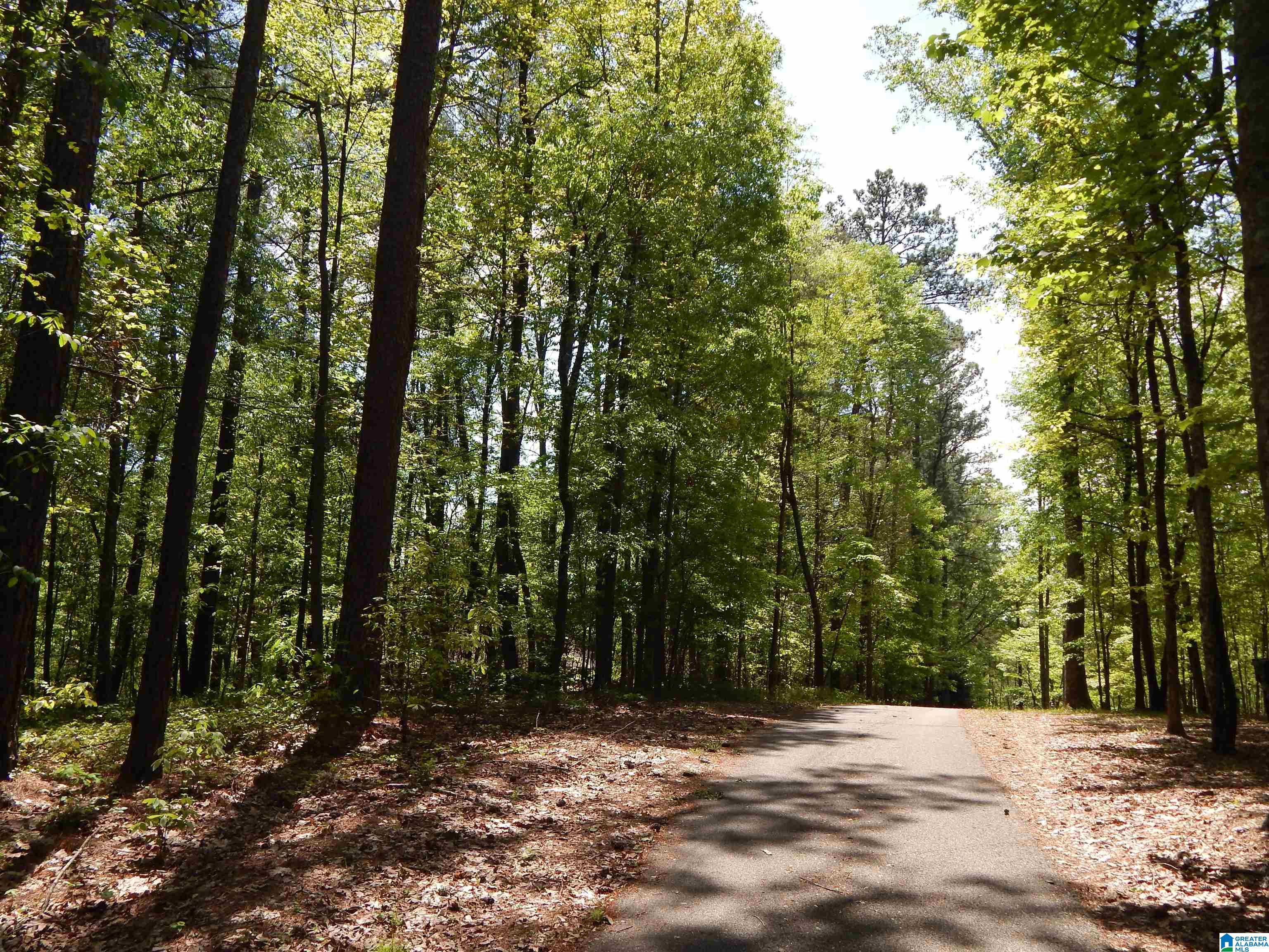 4700 Bob Brill Road Bessemer, AL 35022 - Photo 2 of 19