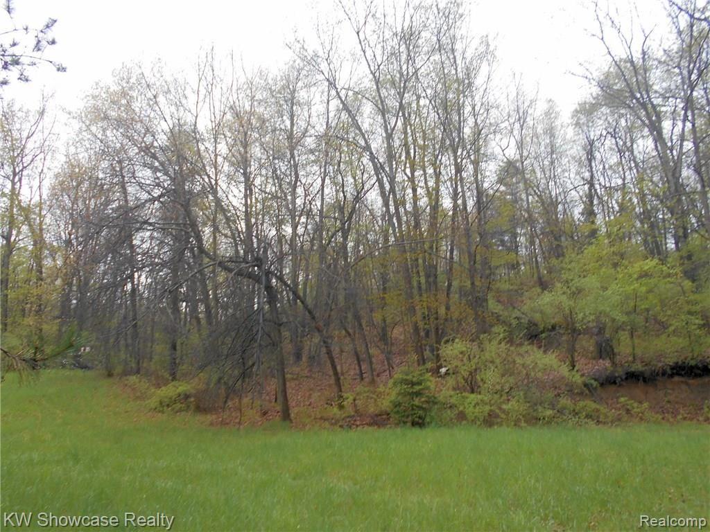 5464 Blood Road Metamora, MI 48455 - Photo 10 of 14