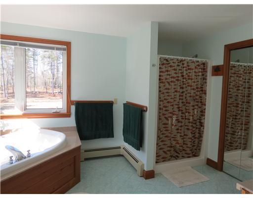259 River Road Limington, ME 04049 - Photo 21 of 25 Master Bath/Spa.