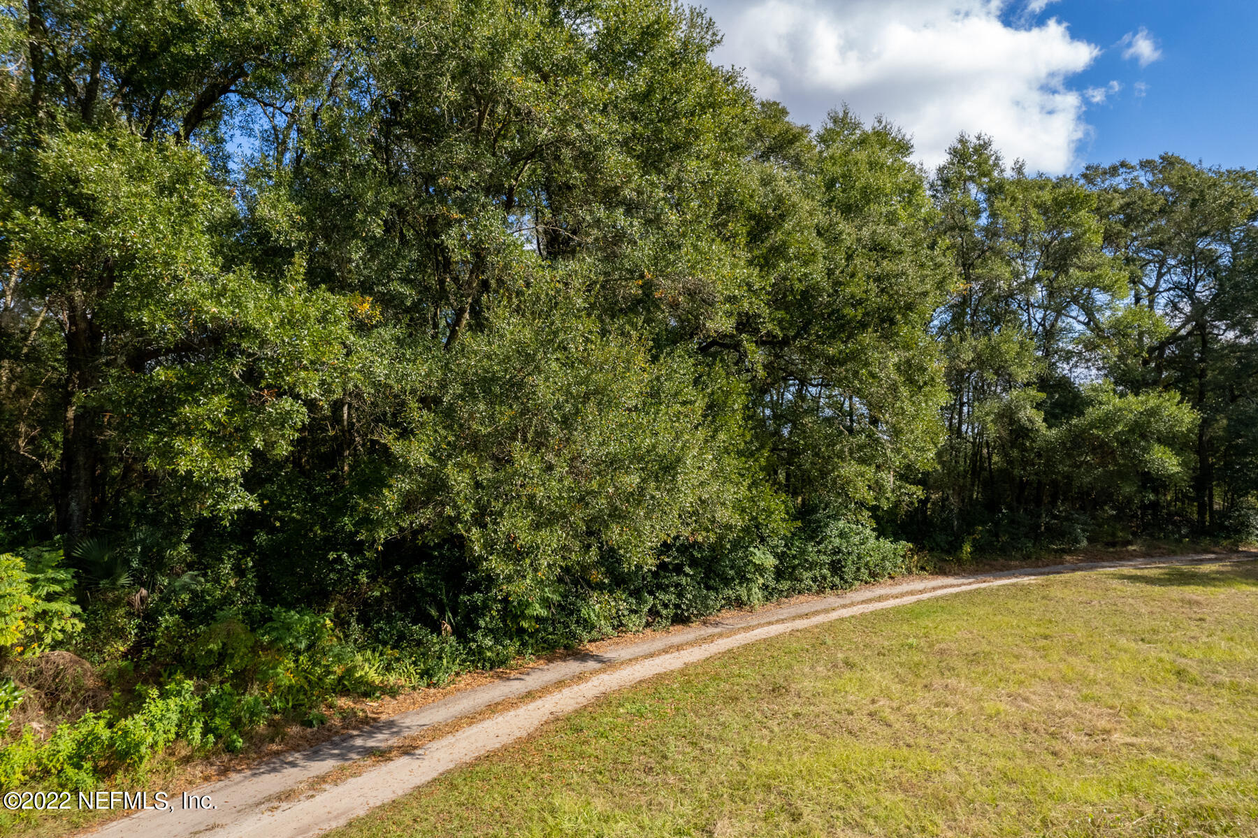 0 Anderson Road Jacksonville, FL 32208 - Photo 6 of 6 a view of a yard with an outdoor space