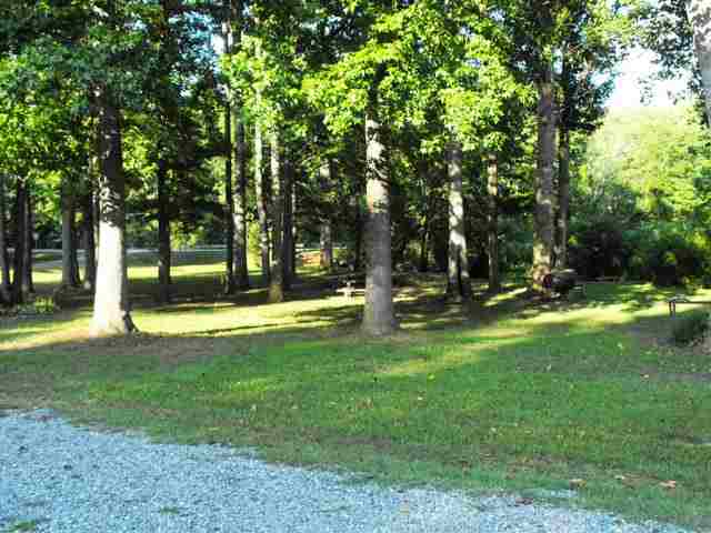 805 Bryant Road Pelzer, SC 29669 - Photo 10 of 14