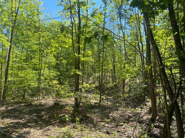 125 Carter Road, Unit LOT 7 Moscow, ME 04920 - Photo 3 of 3 IMG_3341