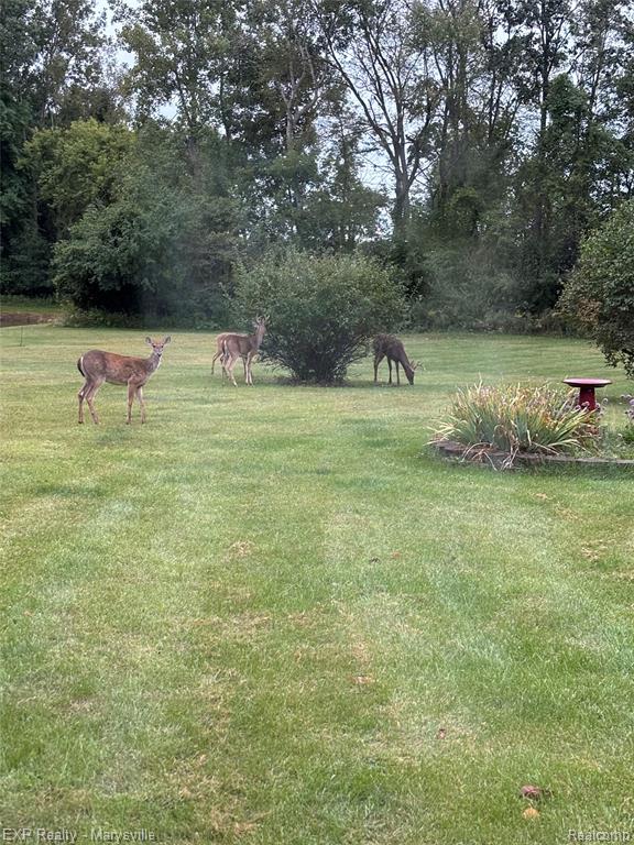12980 Metcalf Road Yale, MI 48097 - Photo 13 of 33