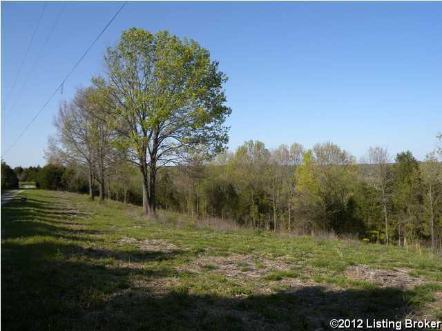 6 Meador Mt Road Shepherdsville, KY 40165 - Photo 1 of 21 Primary Photo