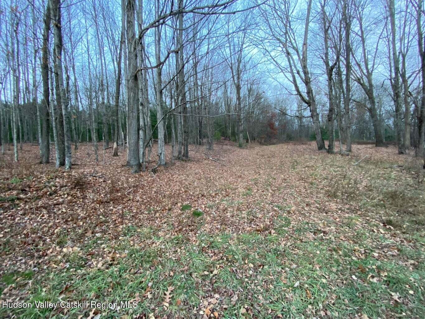 182 Otens Road Ellenville, NY 12428 - Photo 2 of 8 a backyard of a house with lots of green space