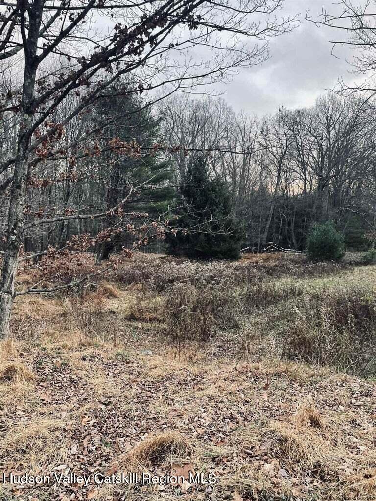 182 Otens Road Ellenville, NY 12428 - Photo 6 of 8 a view of a dry yard with trees