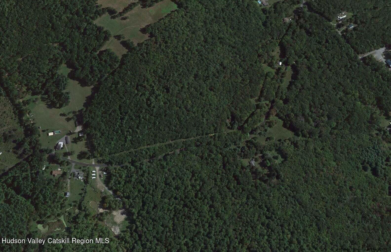 182 Otens Road Ellenville, NY 12428 - Photo 8 of 8 a view of a lush green forest