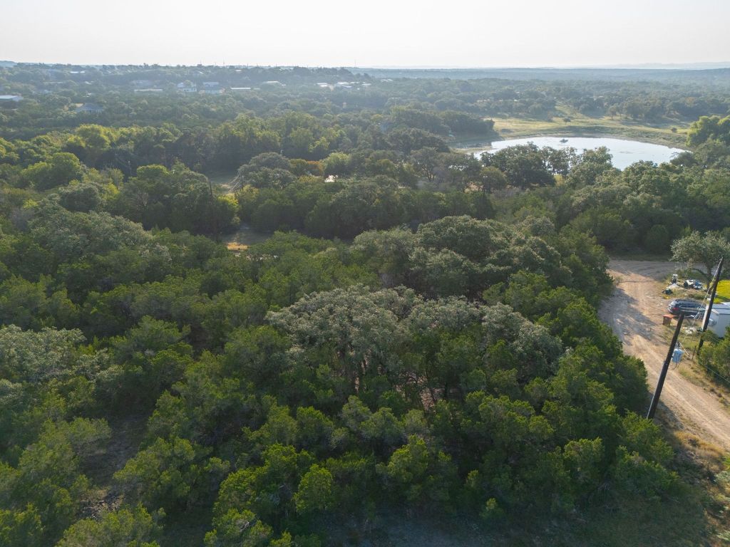 195 Hill Drive Spring Branch, TX 78070 - Photo 9 of 10 an aerial view of residential houses with outdoor space and trees