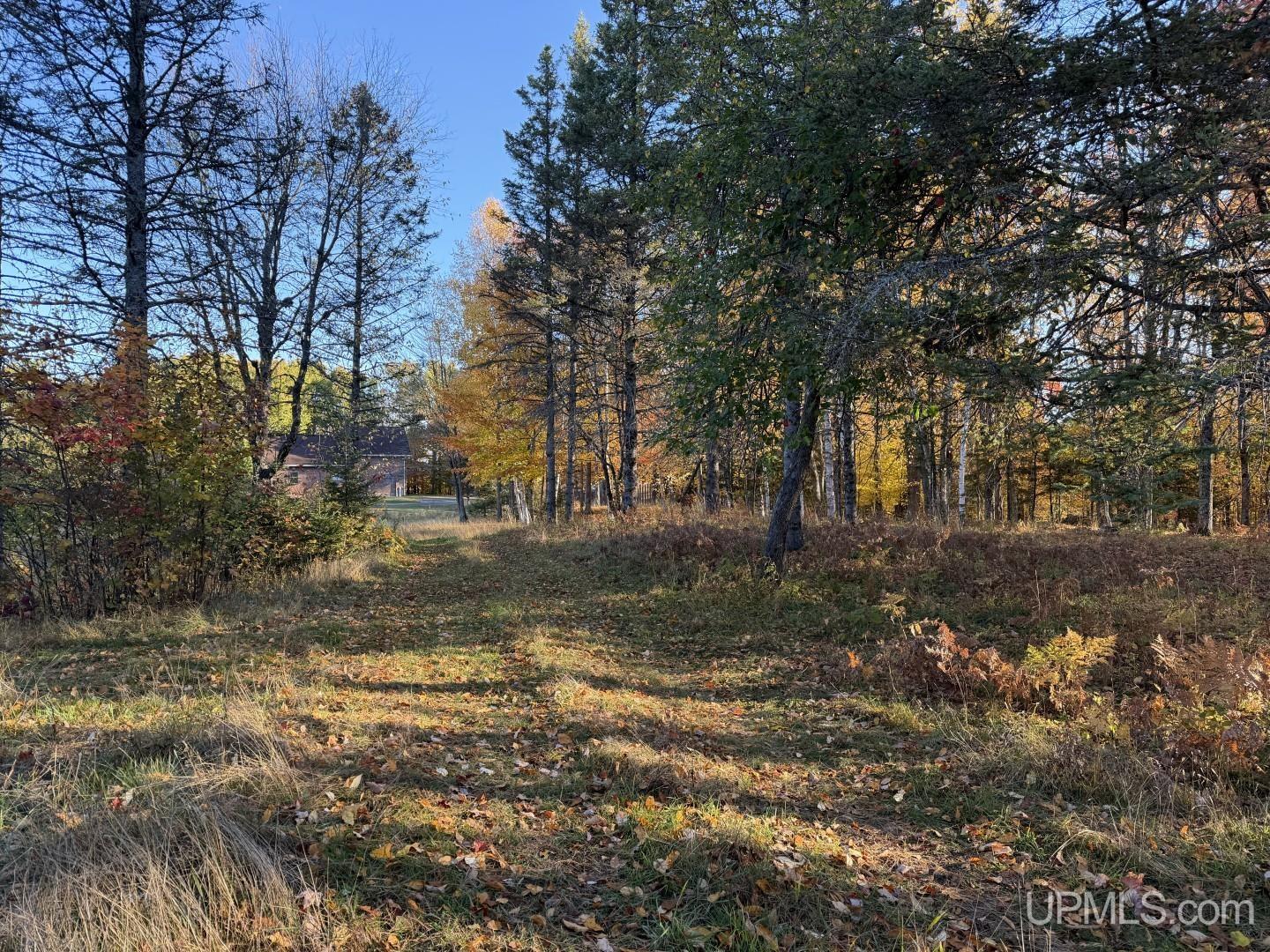 25455 East Opal Road Watton, MI 49970 - Photo 41 of 78 Gallery Image 41