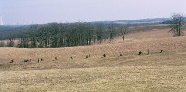 4829 North Town Hall Road Oregon, IL 61061 - Photo 4 of 6 Gallery Image 4
