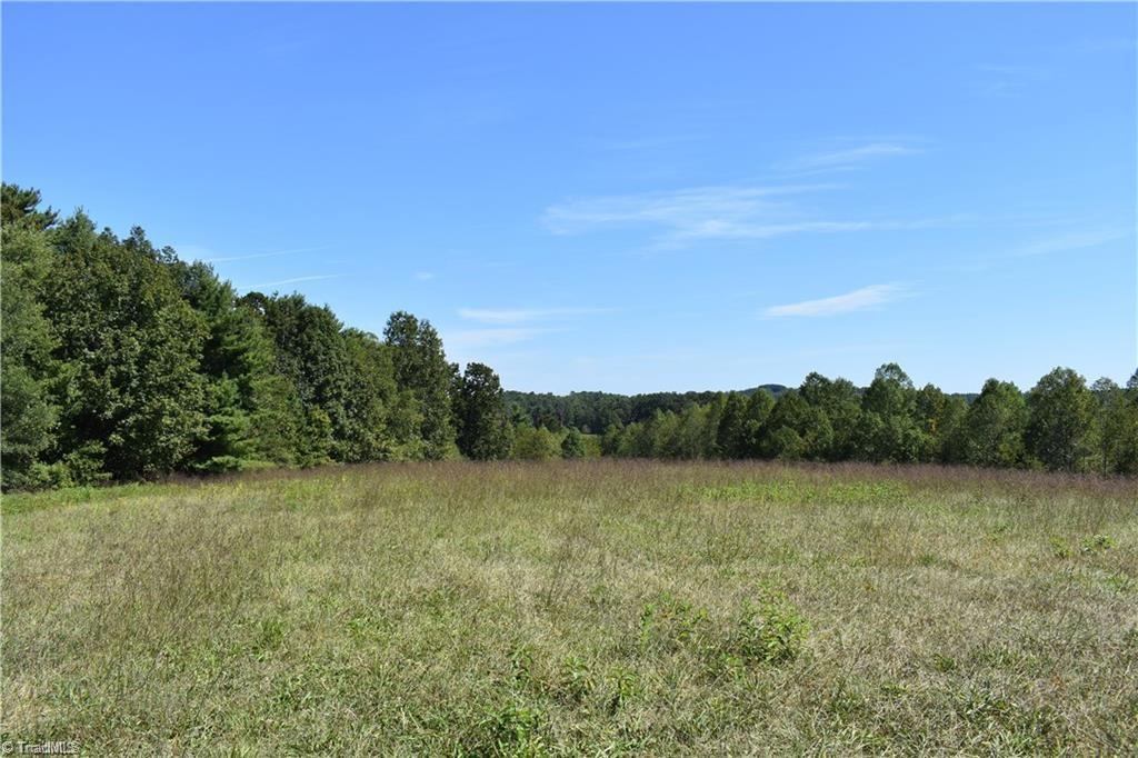 22 Zephyr Mountain Park Road Elkin, NC 28621 - Photo 1 of 7 Gallery Image 1