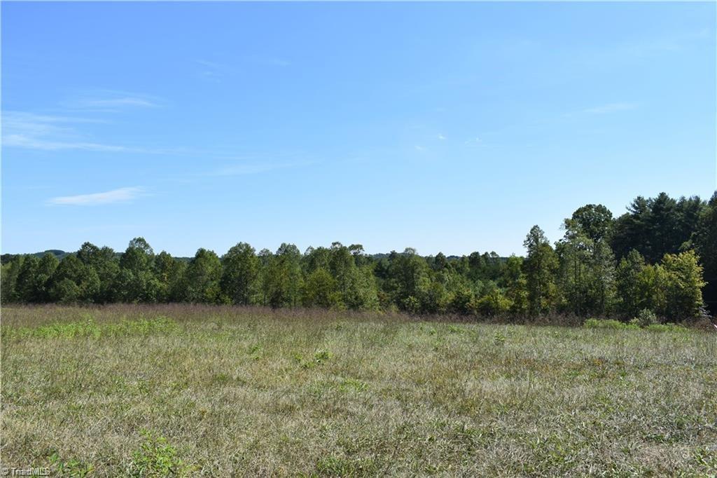22 Zephyr Mountain Park Road Elkin, NC 28621 - Photo 3 of 7 Gallery Image 3