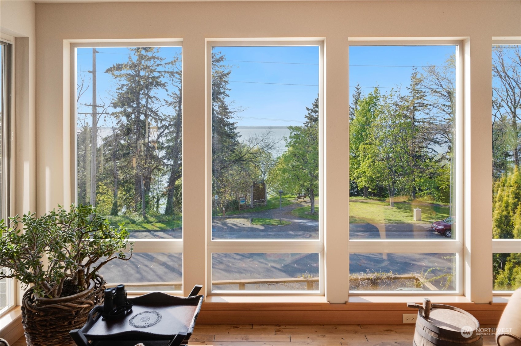 341 South State Street Bellingham, WA 98225 - Photo 13 of 40 a view of a room that has a tree in it