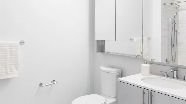 $3,094 | 595 Dean Street, Unit 2733 | Prospect Heights