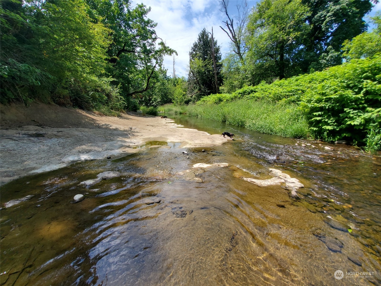 1377 Hining Road Winlock, WA 98596 - Photo 11 of 12
