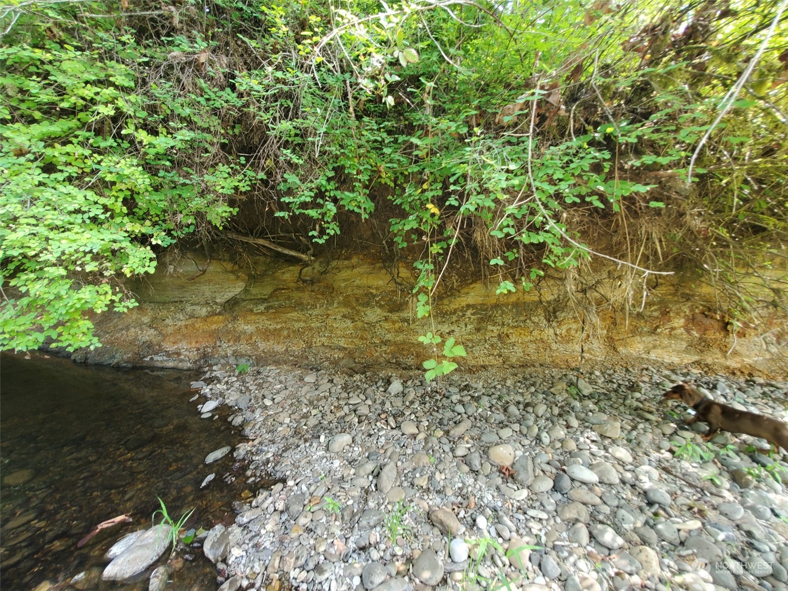 1377 Hining Road Winlock, WA 98596 - Photo 12 of 12