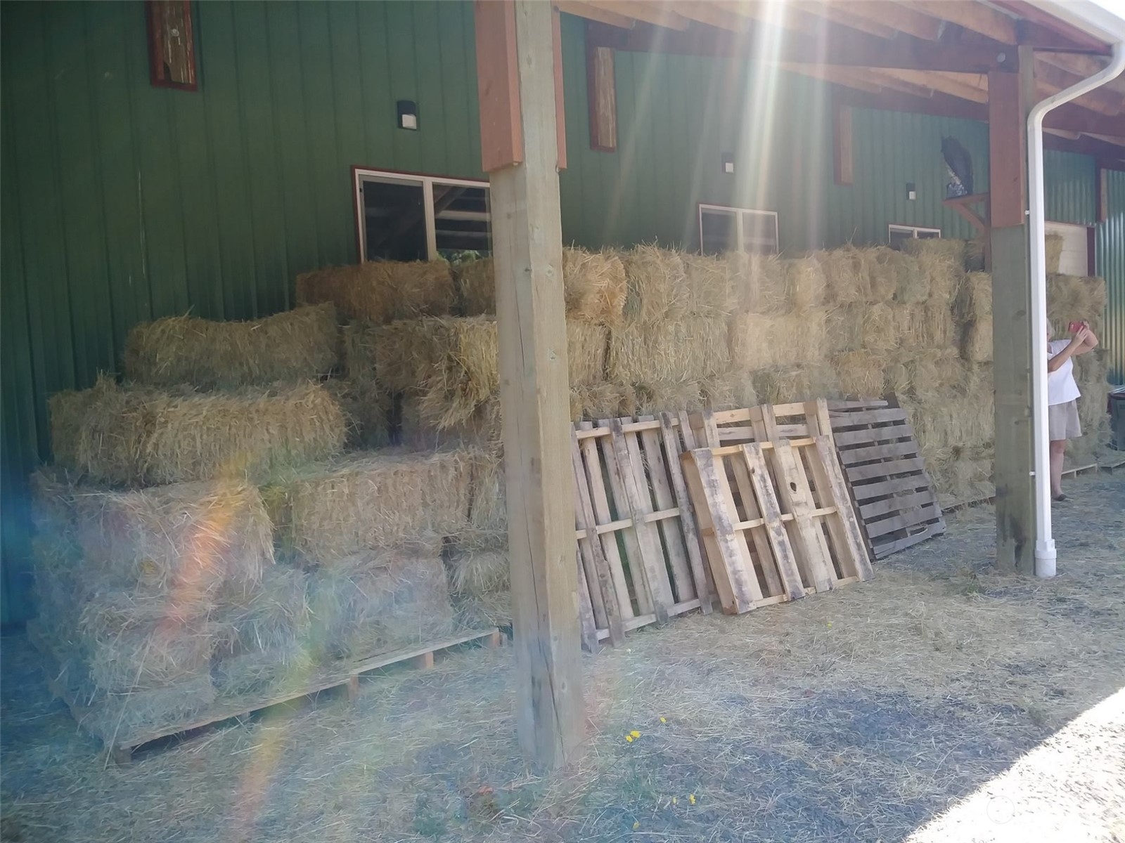 1377 Hining Road Winlock, WA 98596 - Photo 8 of 12