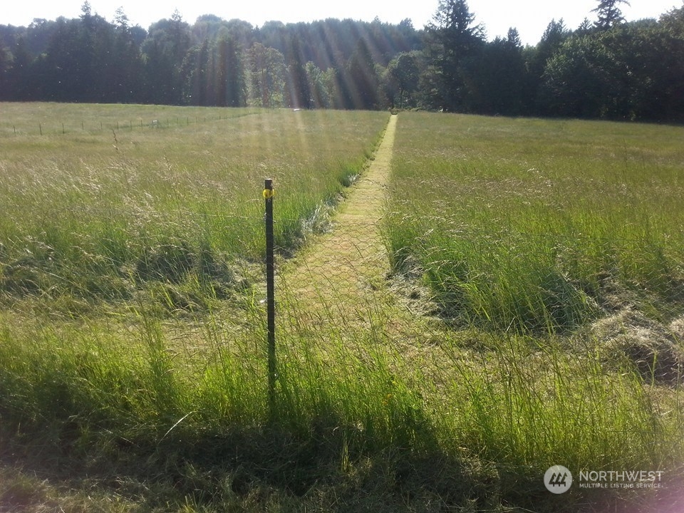 1377 Hining Road Winlock, WA 98596 - Photo 9 of 12